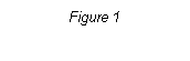 Text Box: Figure 1
